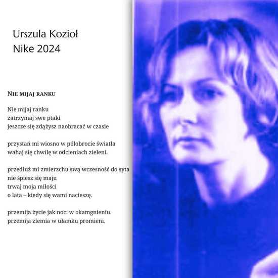 grafika 