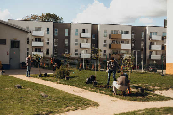 grafika