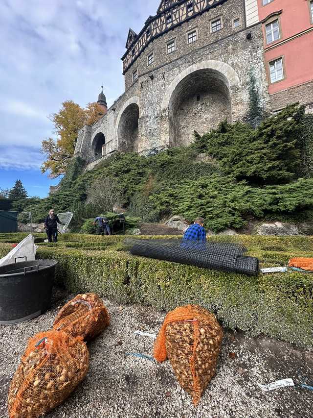 grafika