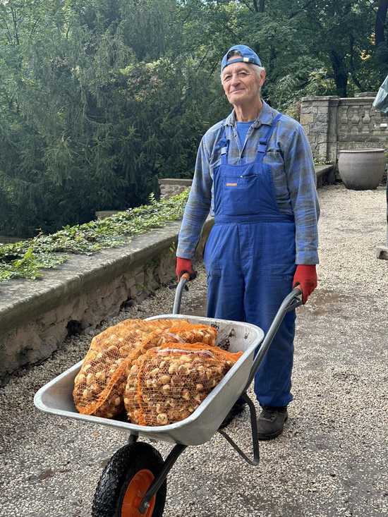 grafika