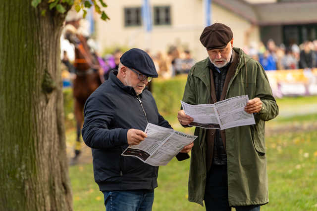 grafika 