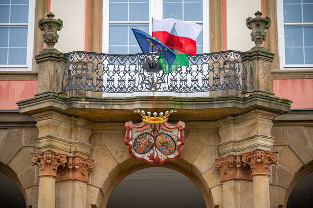 grafika 