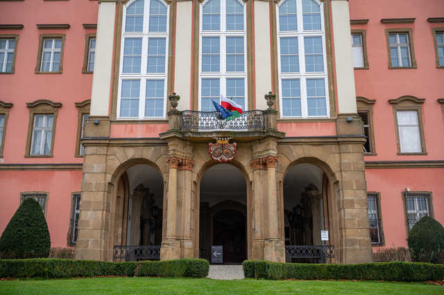 grafika 