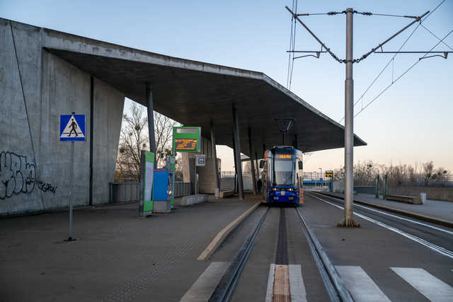grafika