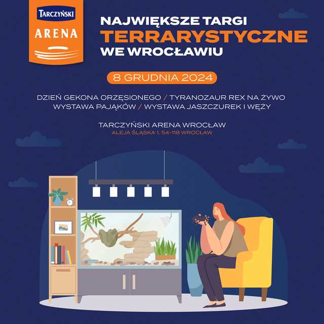 grafika