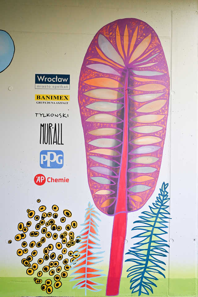 grafika