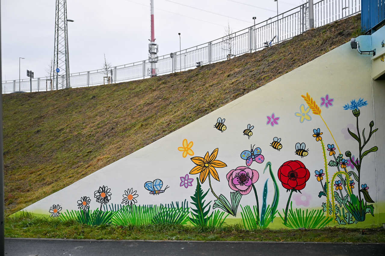 grafika