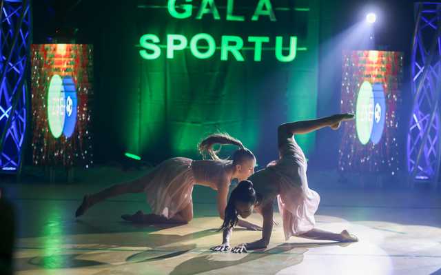 grafika