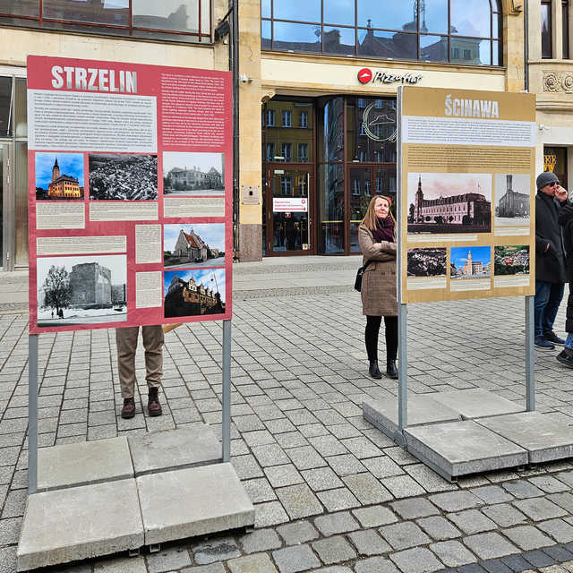 grafika