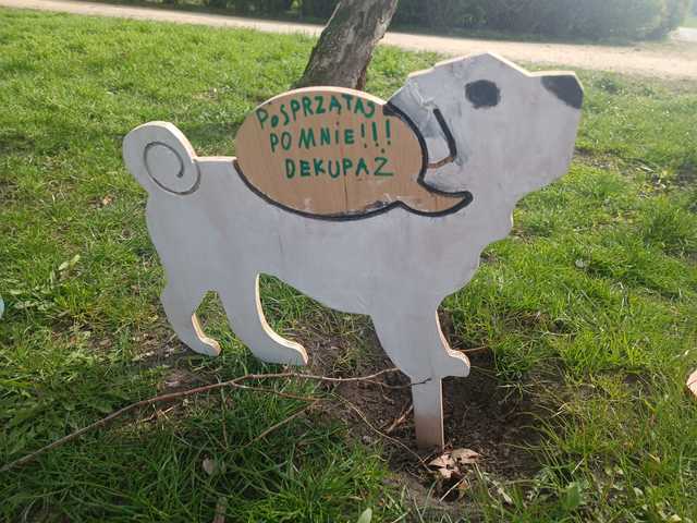 grafika
