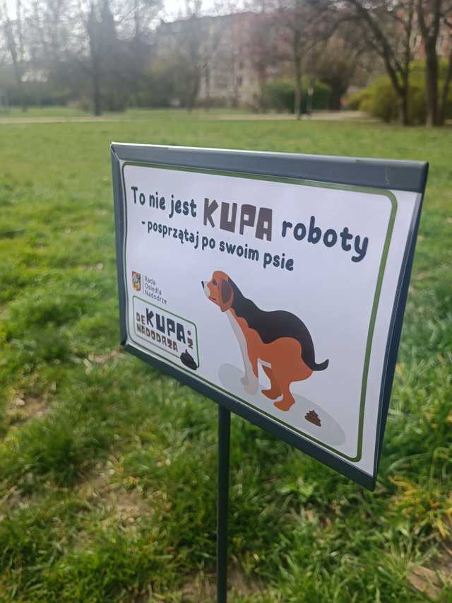 grafika