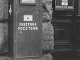 grafika