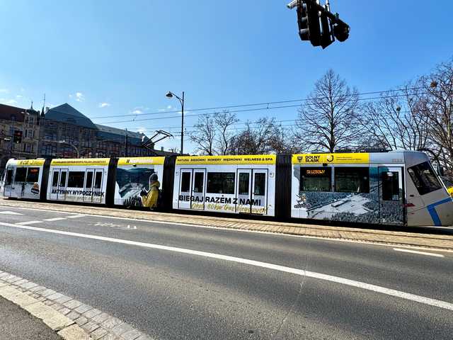 grafika