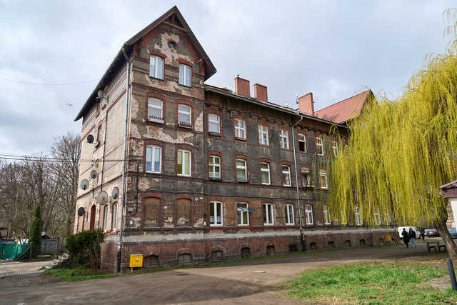 grafika