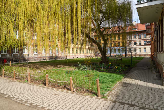 grafika