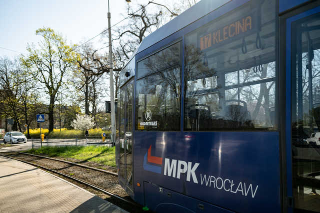 grafika
