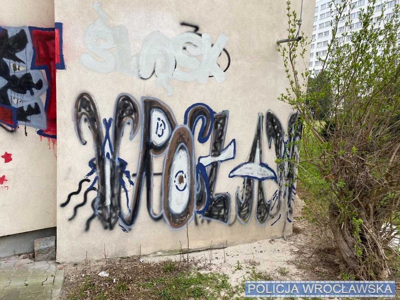 grafika
