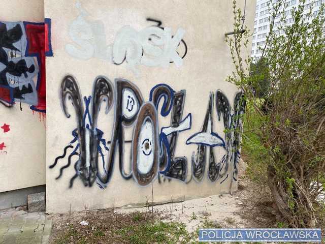 grafika
