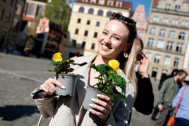 grafika
