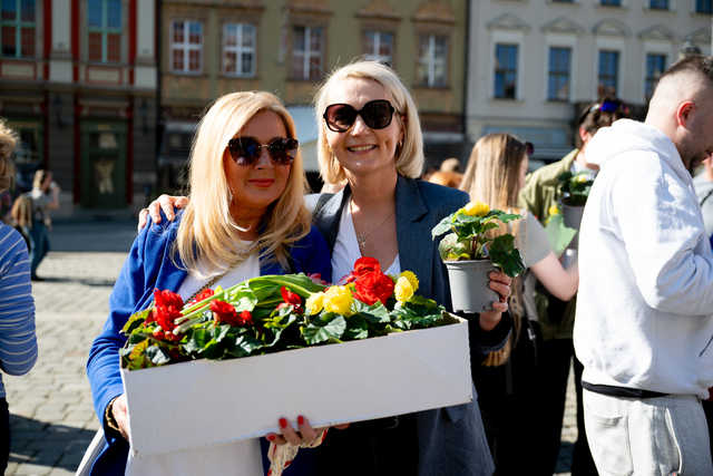 grafika