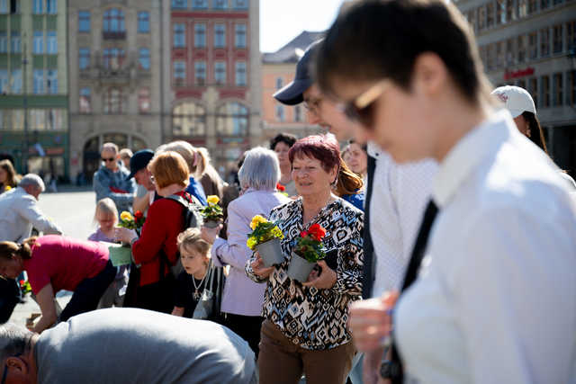 grafika