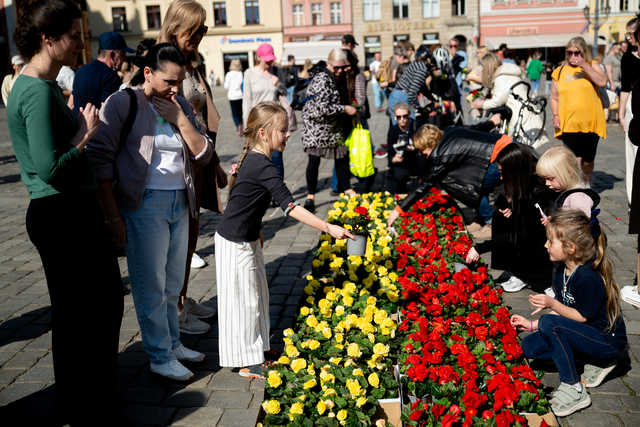 grafika