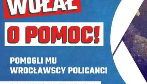 grafika