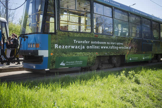 grafika