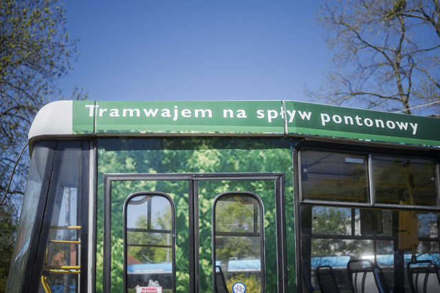 grafika