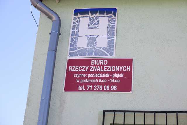 grafika