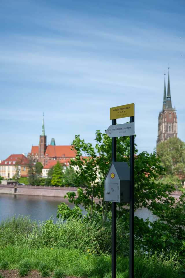 grafika