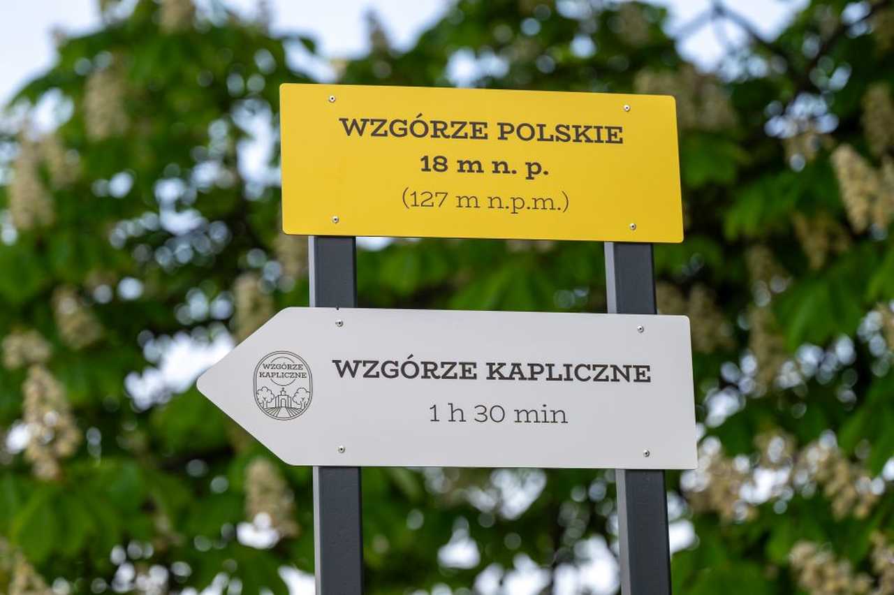 grafika