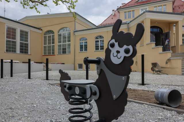 grafika