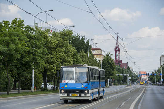 grafika