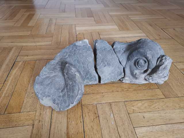 grafika