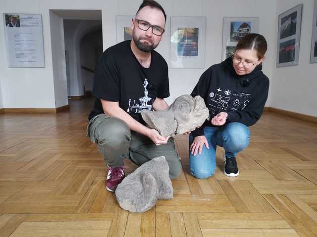 grafika