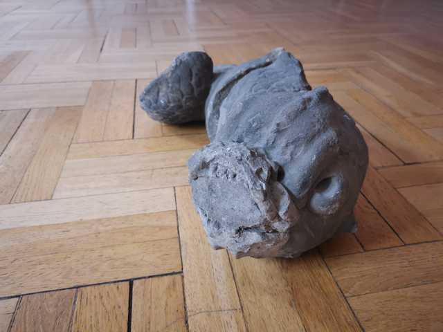 grafika