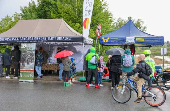 grafika