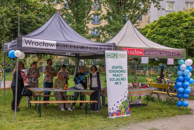 grafika