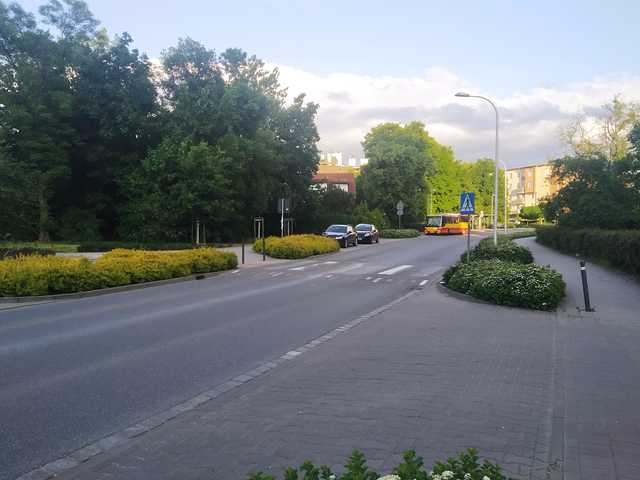 grafika