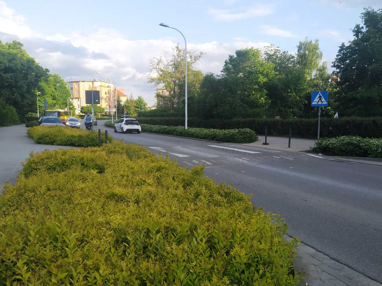 grafika