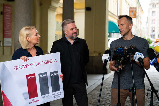 grafika