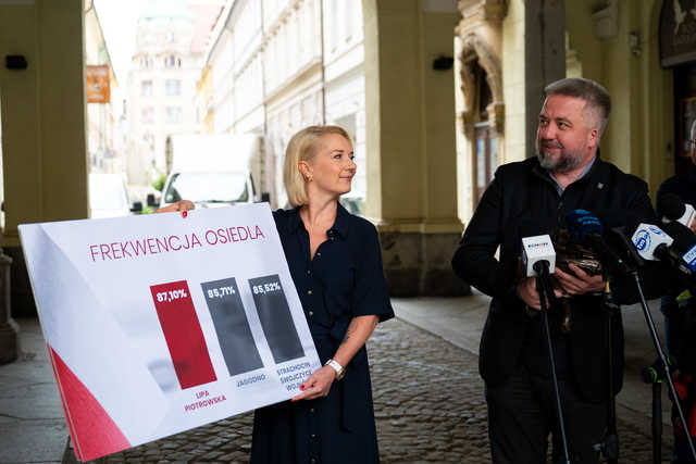 grafika