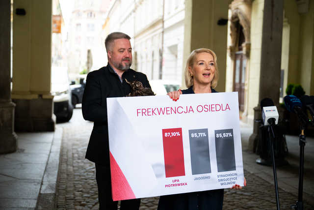 grafika