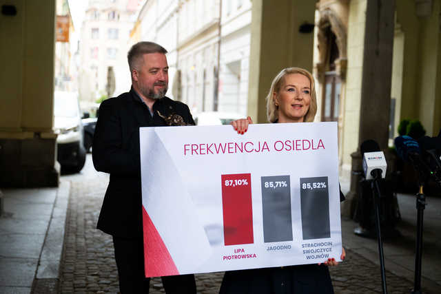 grafika