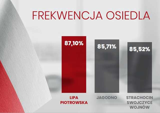 grafika