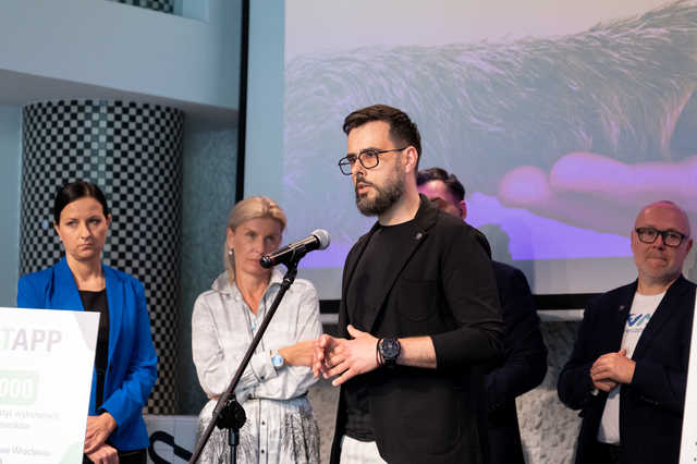 grafika