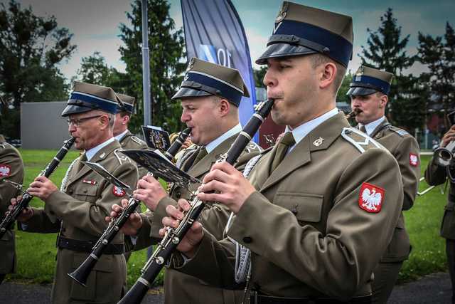 grafika