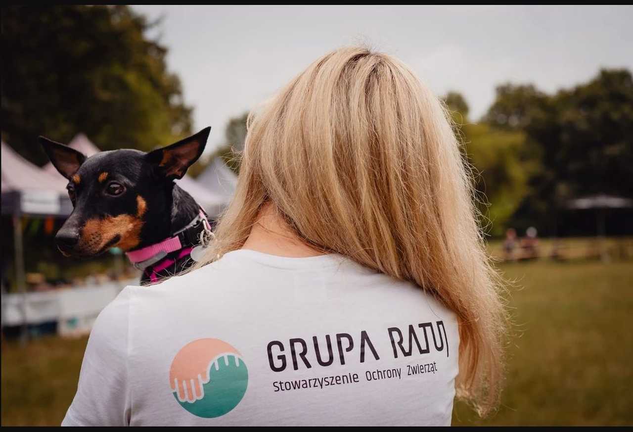 grafika