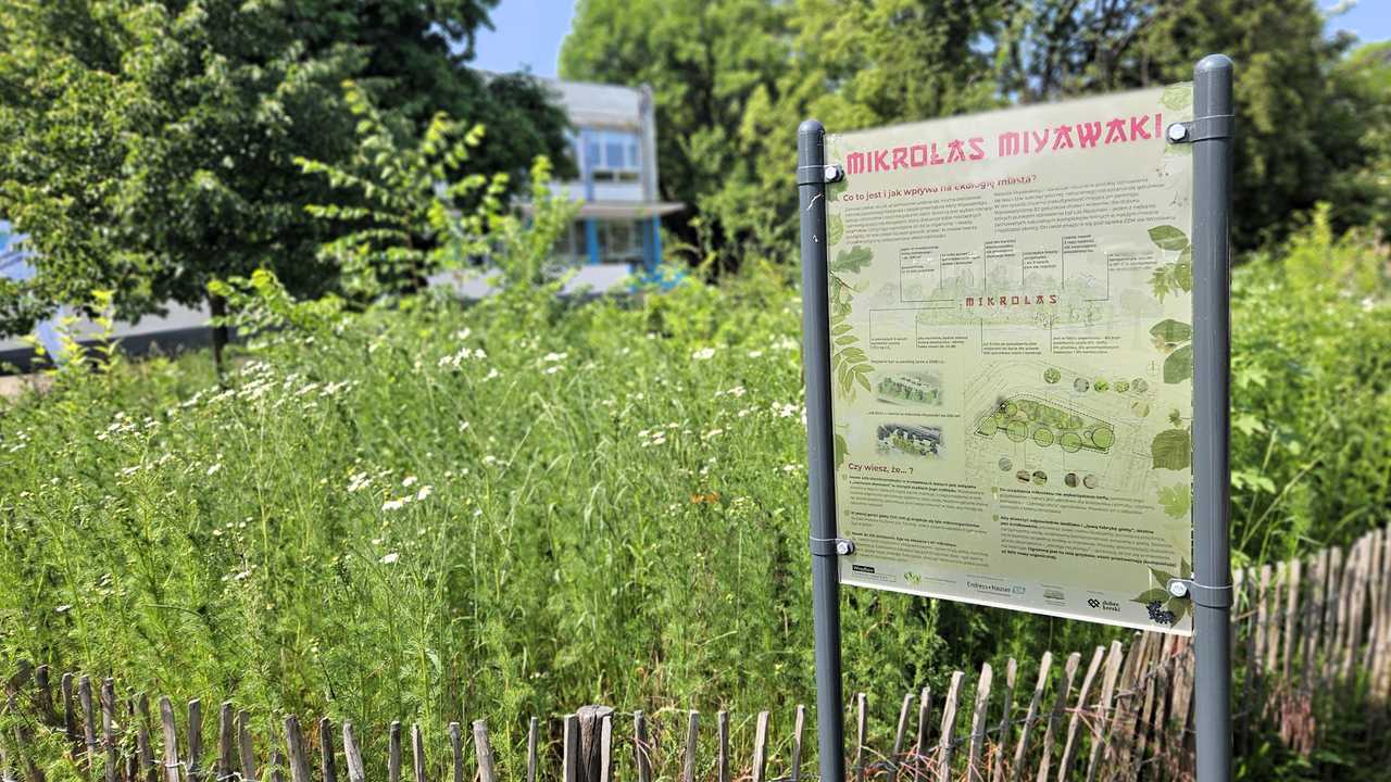 grafika